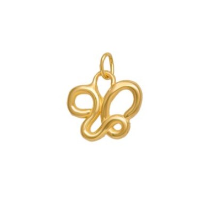 Lucky charm gold-plated silver 925 pendant 2026